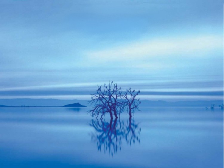 Fonds d'cran Nature Paysages BlueTree