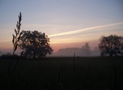 Fonds d'cran Nature aube campagnarde