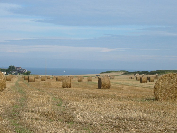 Wallpapers Trips : Europ France > Bretagne foin