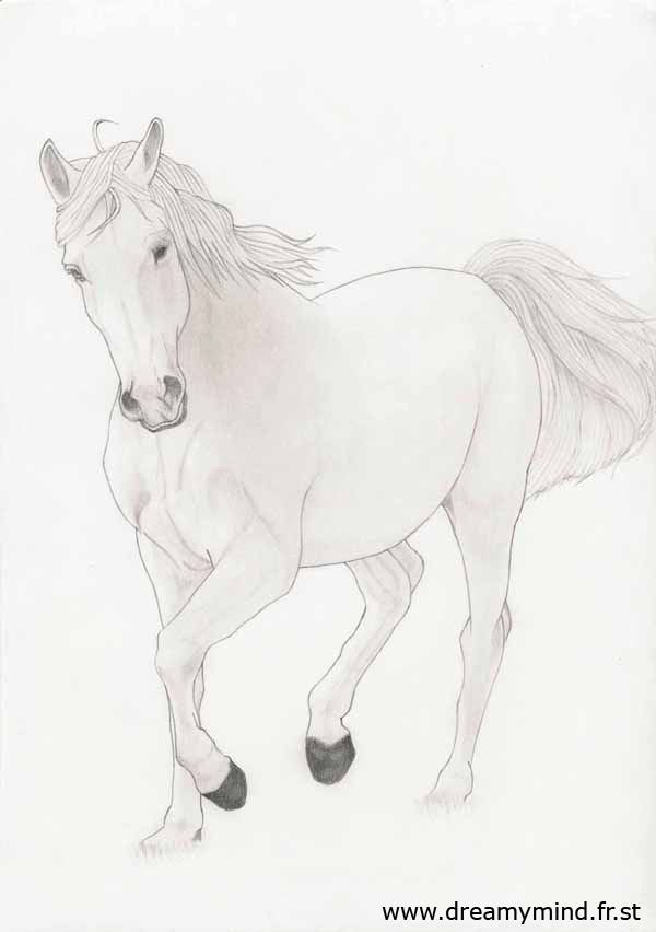 Fonds d'cran Art - Crayon Animaux - Chevaux Un cheval...