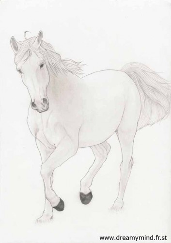 Fonds d'cran Art - Crayon Animaux - Chevaux Un cheval...