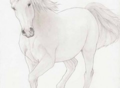 Wallpapers Art - Pencil Un cheval...