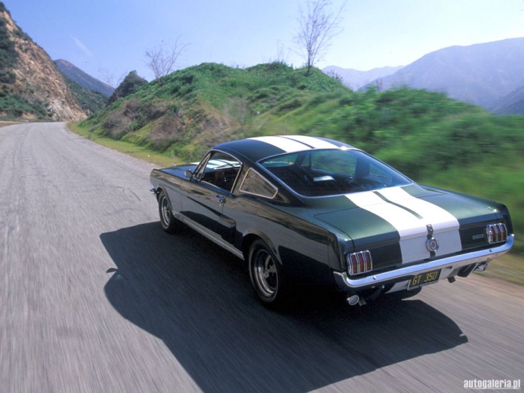 Wallpapers Cars Ford Ford Mustang Shelby GT350 (1966)