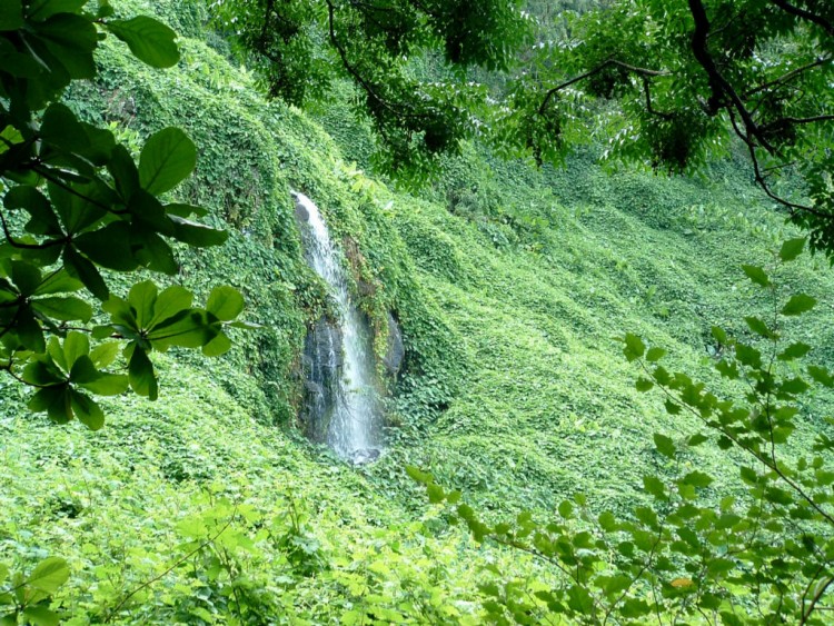 Fonds d'cran Voyages : Afrique La Runion Ile de la Reunion