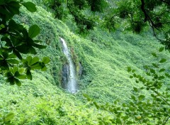 Fonds d'cran Voyages : Afrique Ile de la Reunion