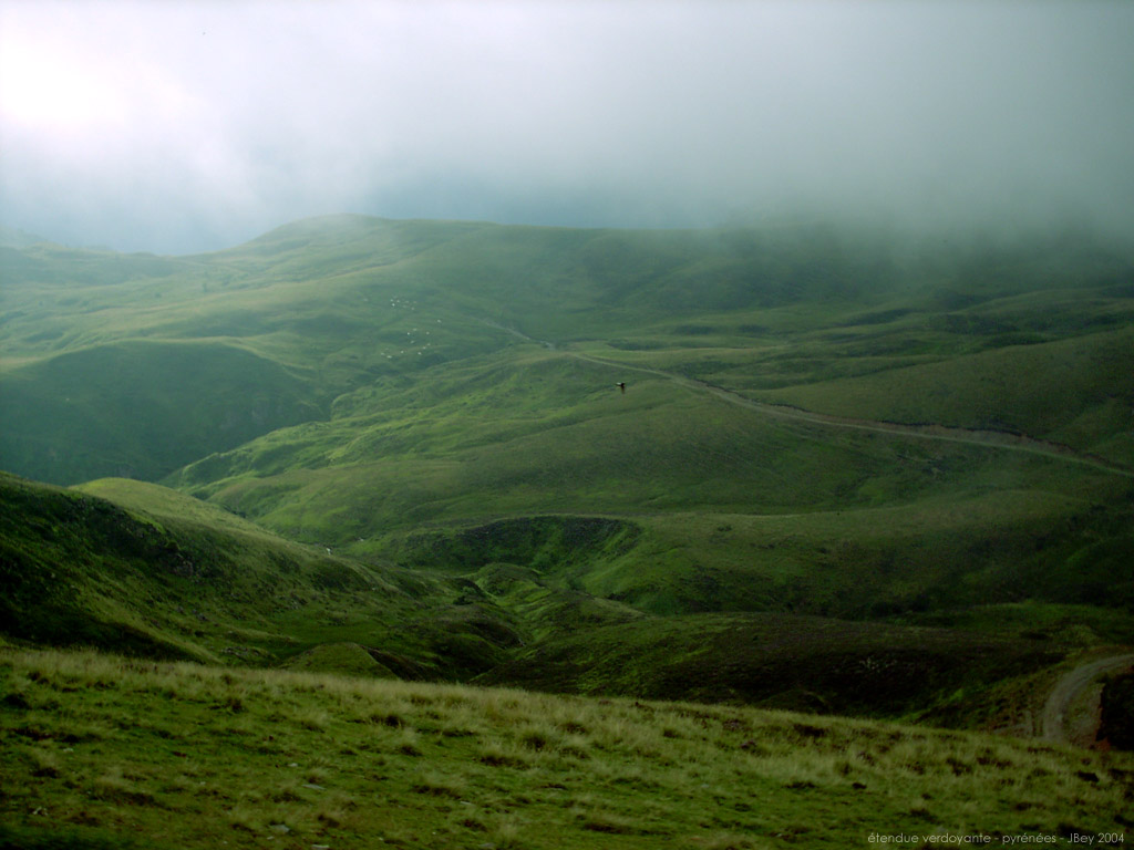 Fonds d'cran Nature Paysages Etendue verdoyante