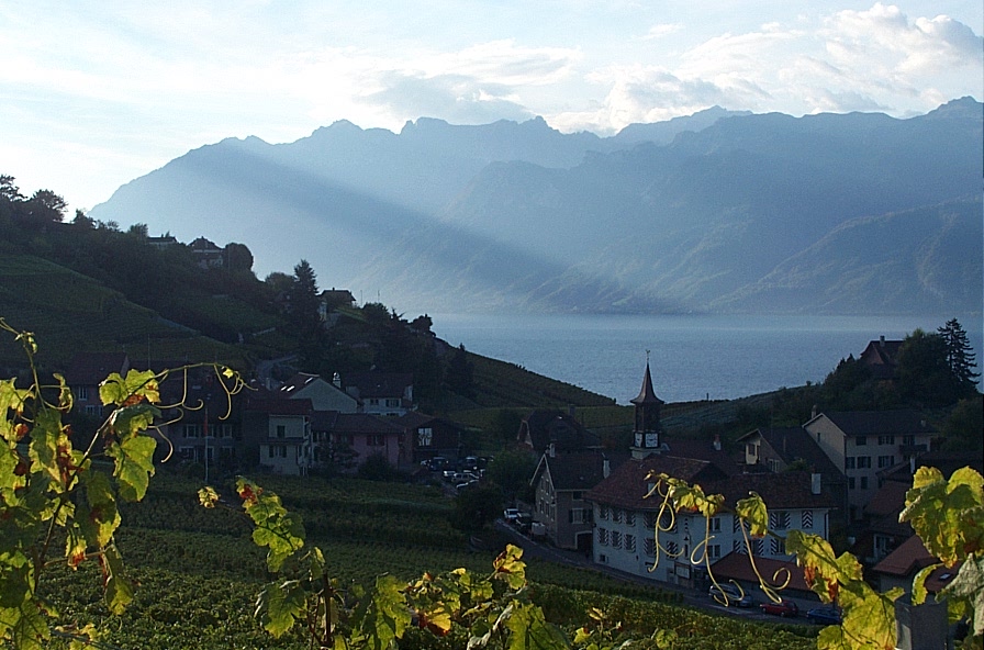 Fonds d'cran Voyages : Europe Suisse A cot de Lausanne