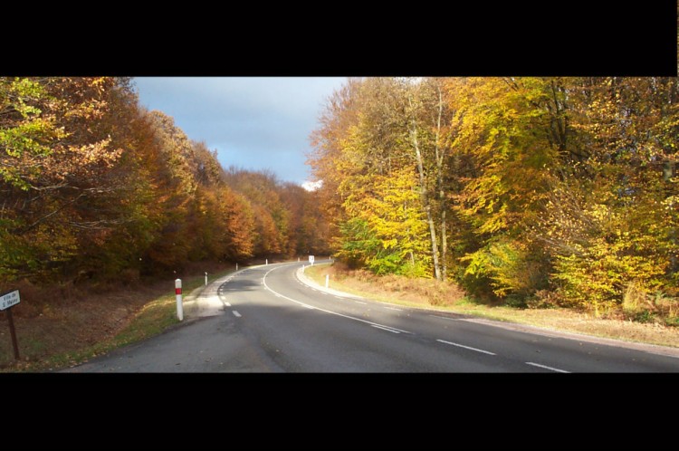 Fonds d'cran Voyages : Europe France > Franche Comt Route dans le Jura