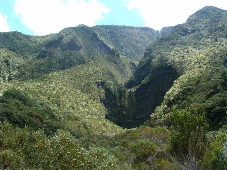 Fonds d'cran Voyages : Afrique La Runion Ile de la Reunion