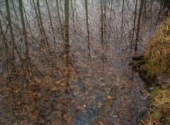 Fonds d'cran Nature Reflets d'automne...