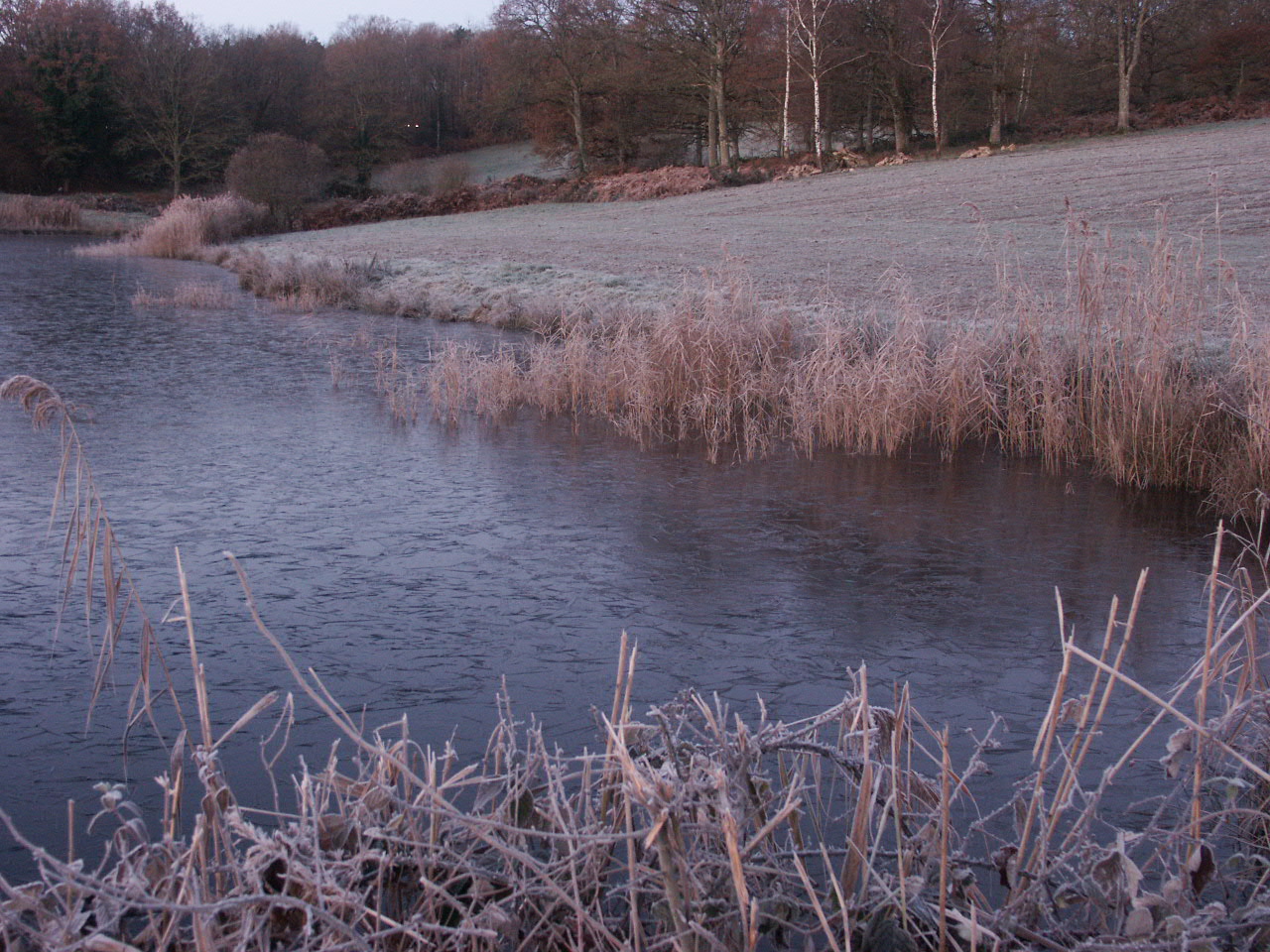 Fonds d'cran Nature Saisons - Hiver 