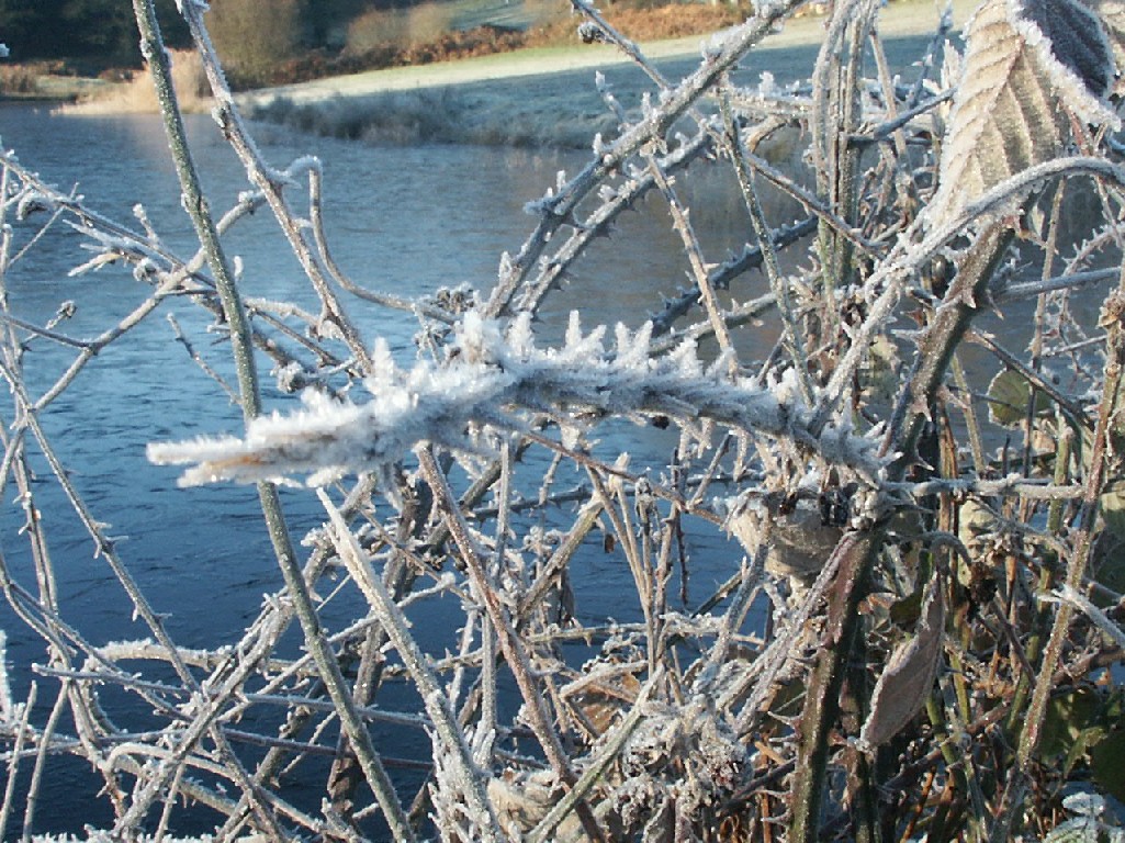 Wallpapers Nature Saisons - Winter 