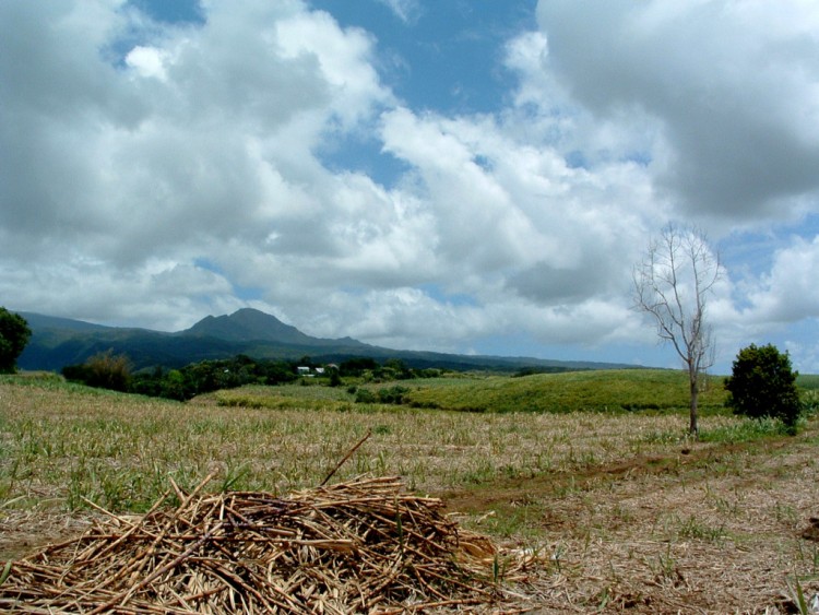 Fonds d'cran Voyages : Afrique La Runion Ile de la Reunion