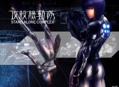 Fonds d'cran Jeux Vido Ghost In The Shell : Stand Alone Complex - 01