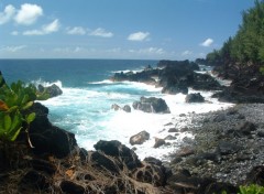 Fonds d'cran Voyages : Afrique Ile de la Reunion