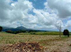 Fonds d'cran Voyages : Afrique Ile de la Reunion