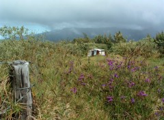 Fonds d'cran Voyages : Afrique Ile de la Reunion