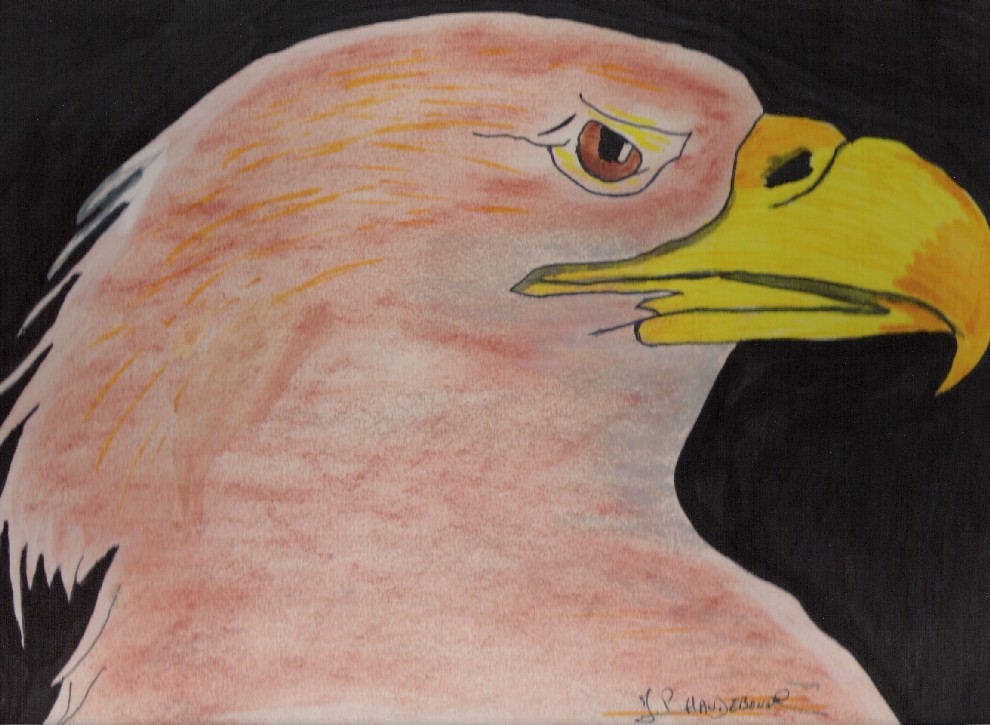 Fonds d'cran Art - Crayon Animaux - Oiseaux - Rapaces aigle