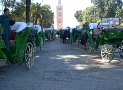 Fonds d'cran Voyages : Afrique koutoubia