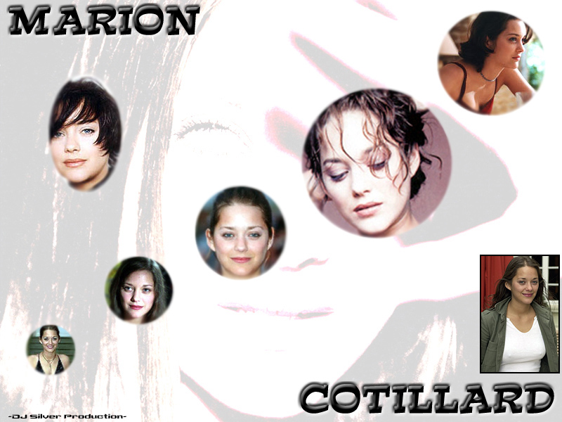 Wallpapers Celebrities Women Marion Cotillard Marion Cotillard