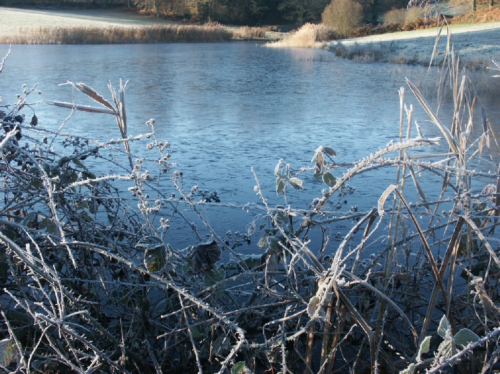 Fonds d'cran Nature Saisons - Hiver 