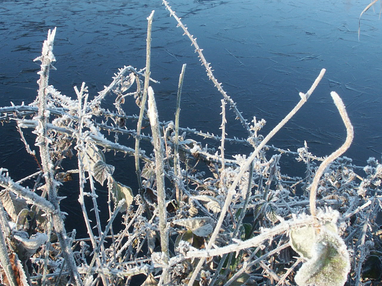 Fonds d'cran Nature Saisons - Hiver 