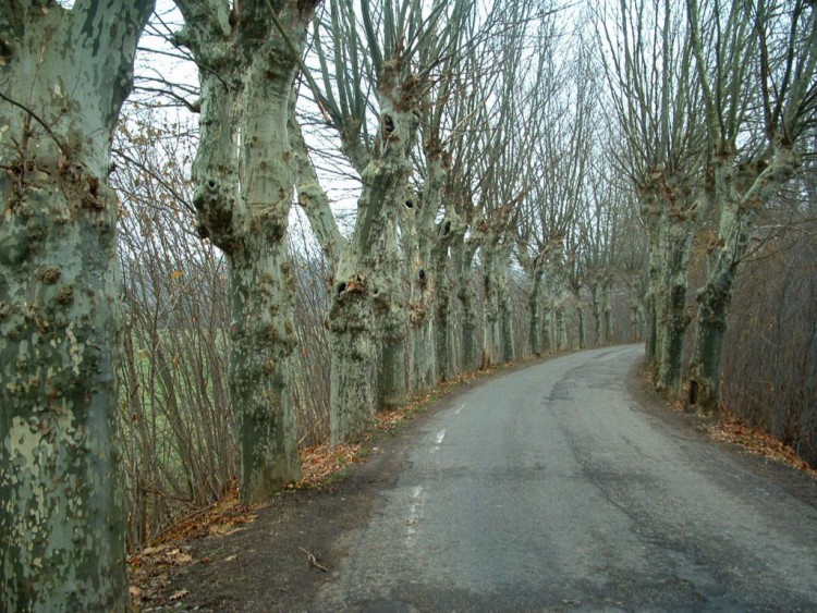 Fonds d'cran Voyages : Europe France > Alsace Jour d'Automne