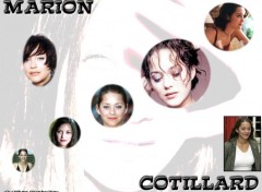 Fonds d'cran Clbrits Femme Marion Cotillard