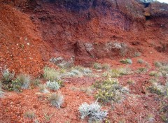 Fonds d'cran Voyages : Afrique Ile de la Reunion : 2300 m