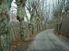 Fonds d'cran Voyages : Europe Jour d'Automne