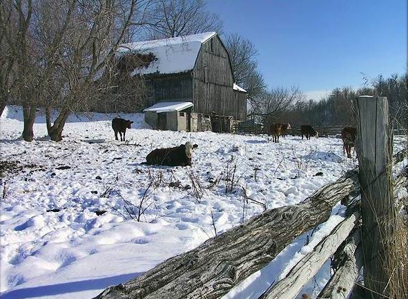 Fonds d'cran Nature Saisons - Hiver 