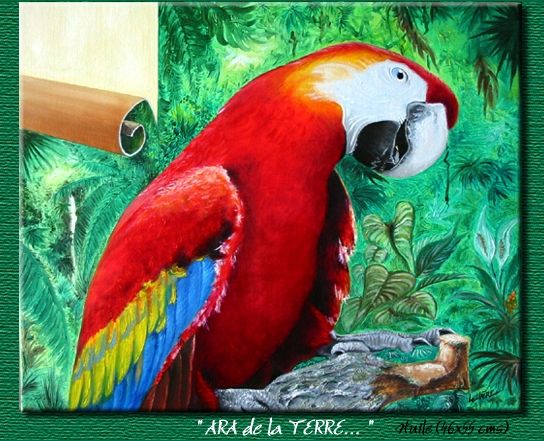 Wallpapers Art - Painting Animals Psittacid d'Amrique du sud.