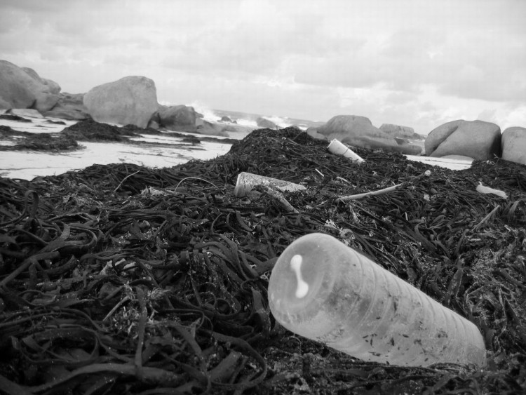 Fonds d'cran Nature Mers - Ocans - Plages pollution