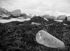 Fonds d'cran Nature pollution