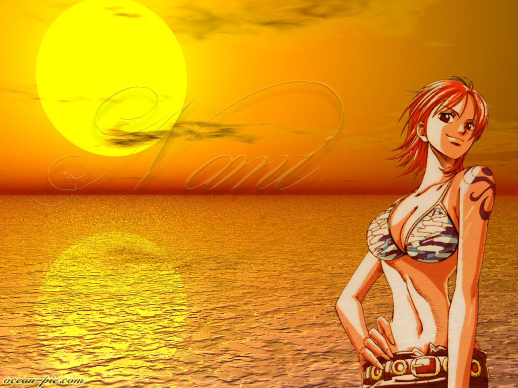 Fonds d'cran Manga One Piece Nami Sunset