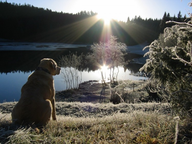 Wallpapers Nature Saisons - Winter Lac Genin et Isa