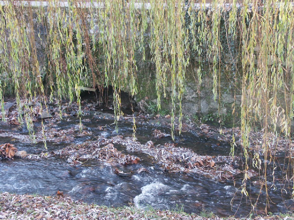 Fonds d'cran Nature Fleuves - Rivires - Torrents 