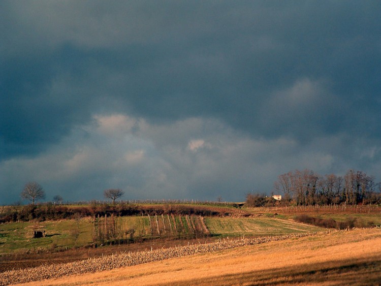 Fonds d'cran Voyages : Europe France > Alsace Belle est la campagne...