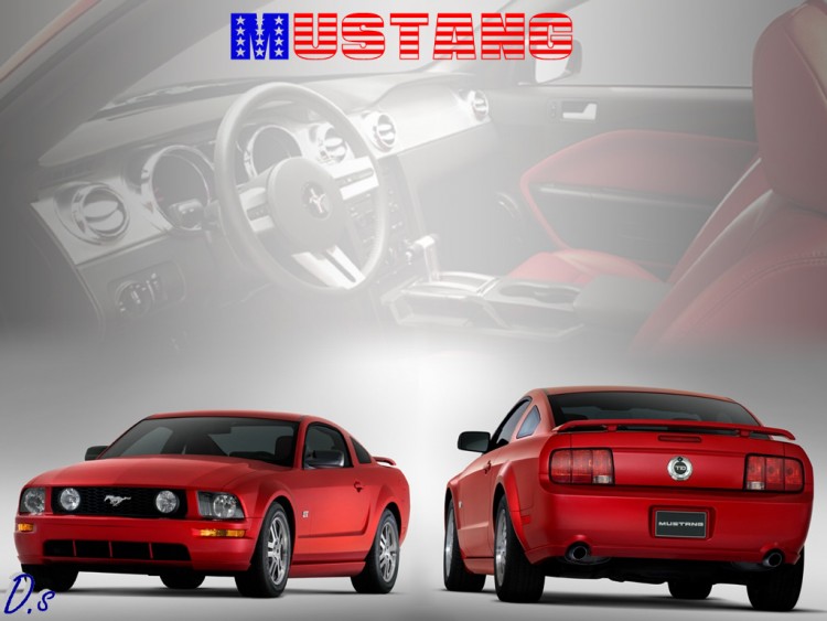 Fonds d'cran Voitures Mustang mustang steeda