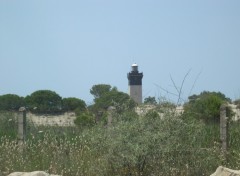 Fonds d'cran Constructions et architecture Le Phare de l'Espiguette  ct du Grau-du-Roi