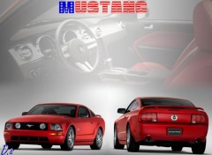 Fonds d'cran Voitures mustang steeda