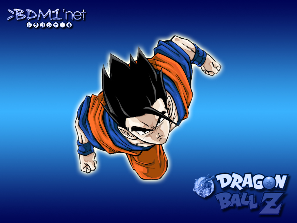 Fonds d'cran Manga Dragon Ball Z 