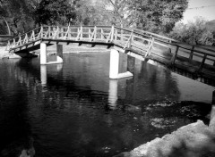 Fonds d'cran Nature pont B&W