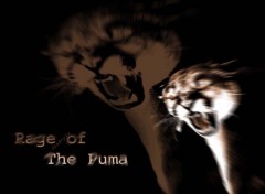 Wallpapers Digital Art puma's rage