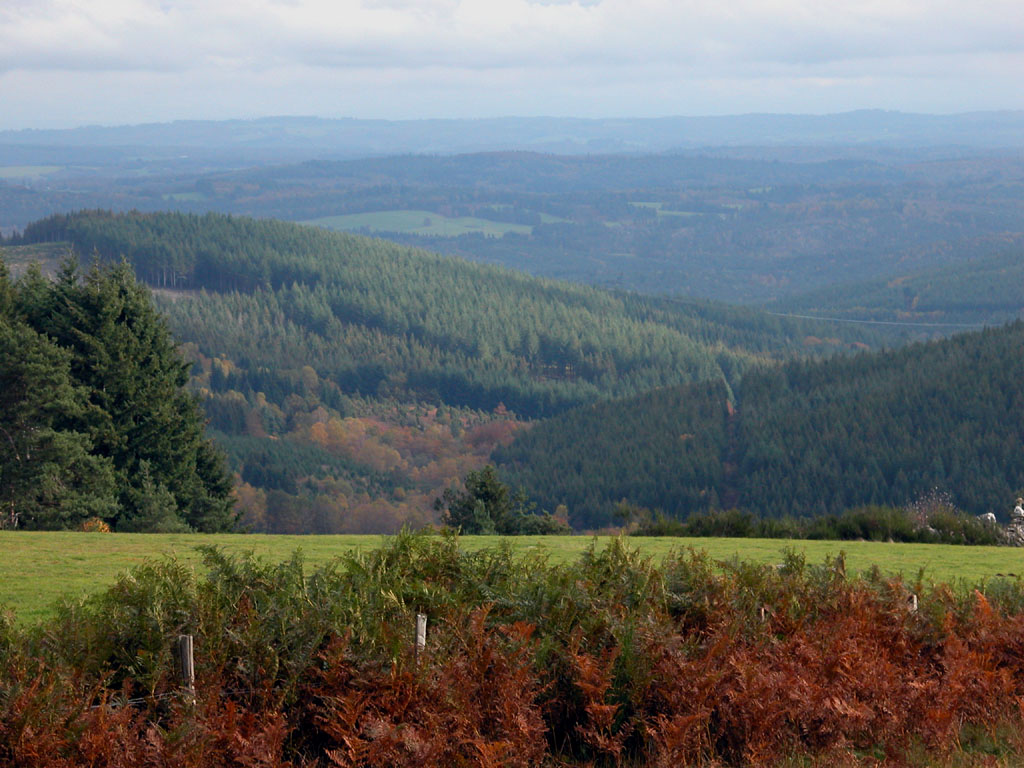 Fonds d'cran Voyages : Europe France > Limousin  Randonne sur Millevaches