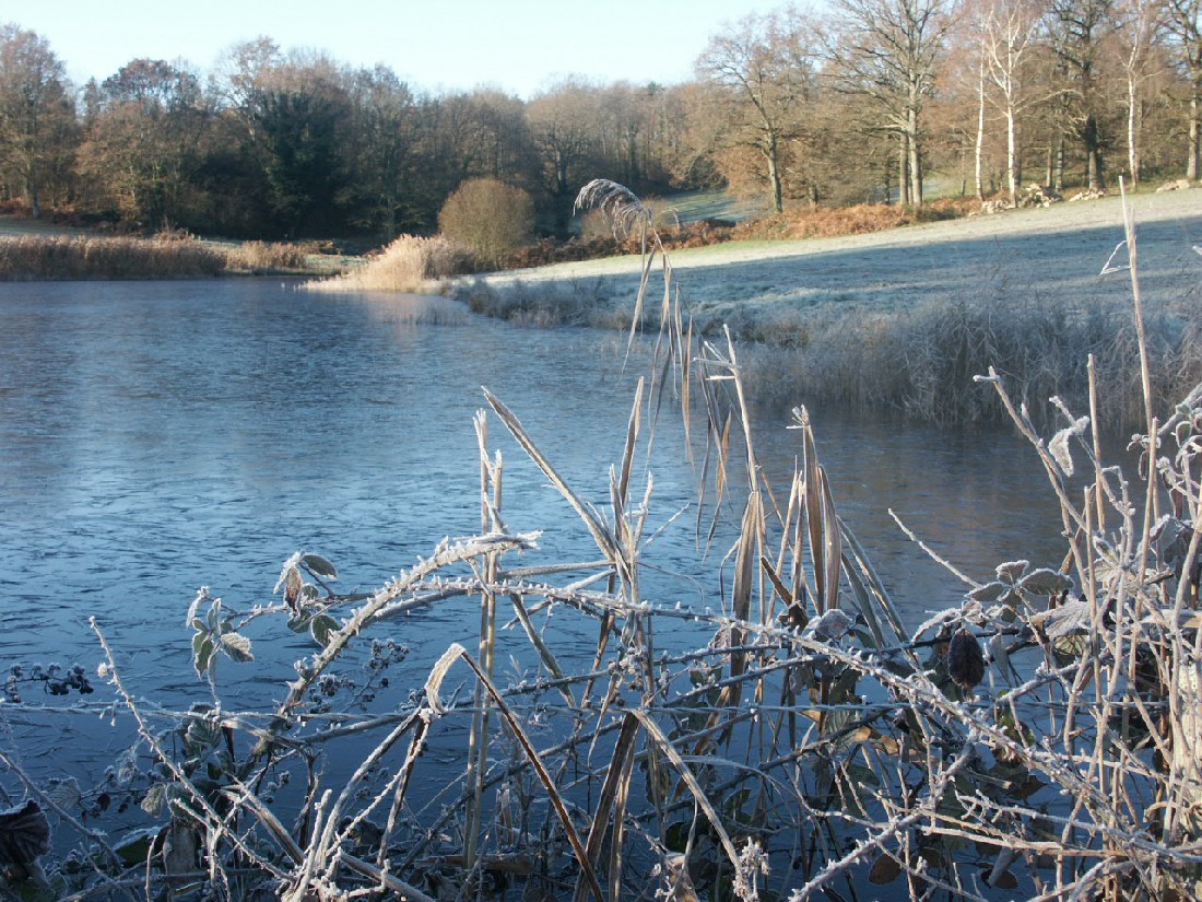 Fonds d'cran Nature Saisons - Hiver 