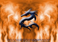 Fonds d'cran Art - Numrique Dragon fire