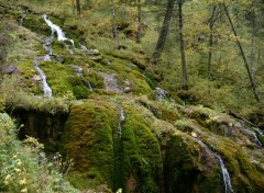 Fonds d'cran Nature 12 springs (Altai, Russia)