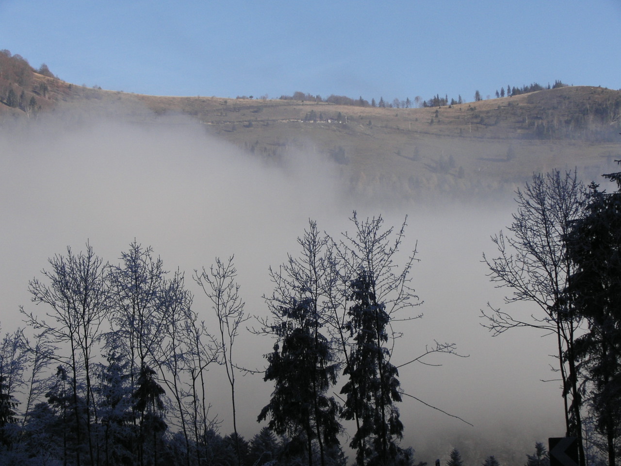 Fonds d'cran Nature Saisons - Hiver entre brouillard et soleil