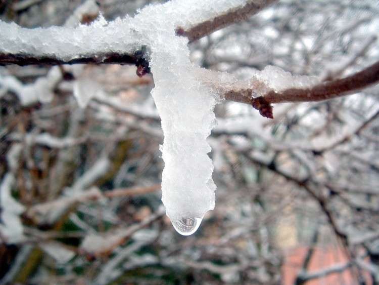 Fonds d'cran Nature Saisons - Hiver Goutte  goutte